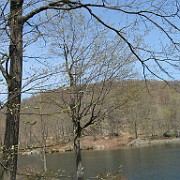 IMG 3379