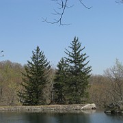 IMG 3381