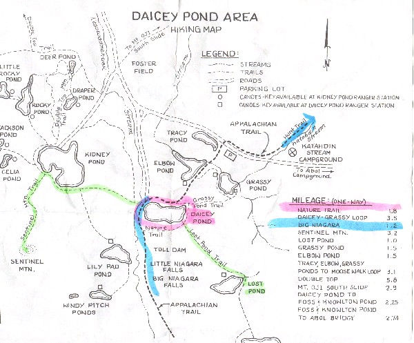 daicey pond