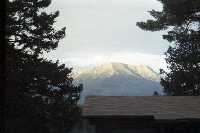 click to view bigger picture