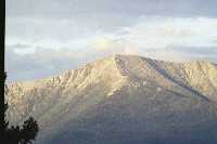 click to view bigger picture